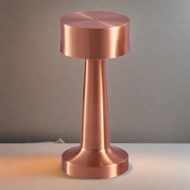 Modern Portable LED Table Lamp - LMP YA10